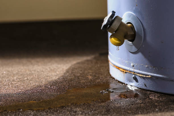 Water damage restoration mold remediation in Bloomville, OH