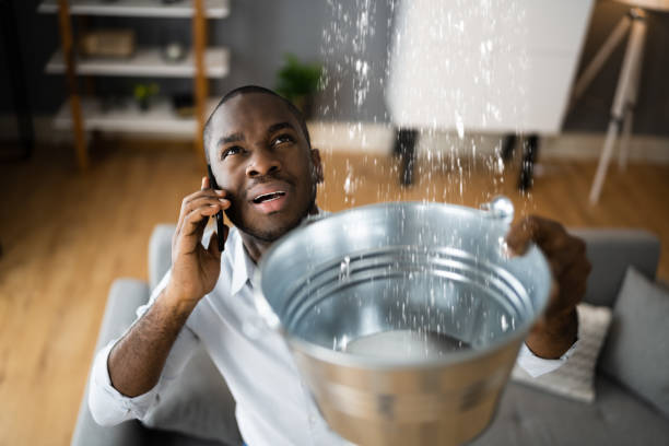 Best Water damage restoration specialists  in Bloomville, OH