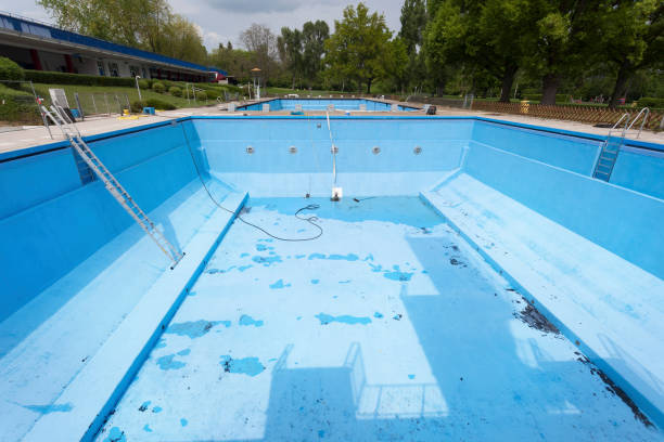 Best Water damage contractors near me  in Bloomville, OH