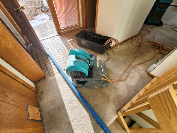 Best Flood restoration services  in Bloomville, OH