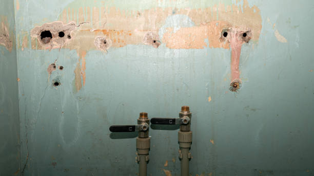 Best Fire Damage Restoration  in Bloomville, OH