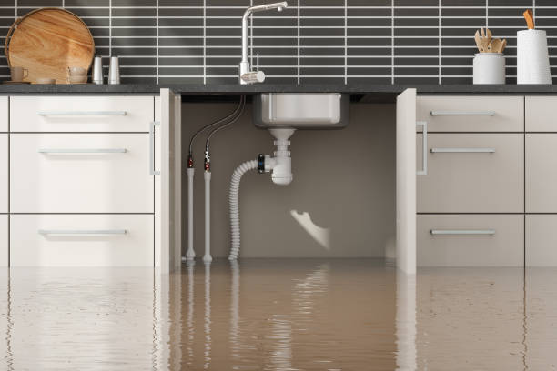Best 24/7 water damage repair  in Bloomville, OH