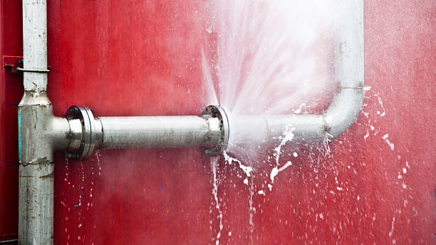 Trusted Bloomville, OH Water damage restoration Experts