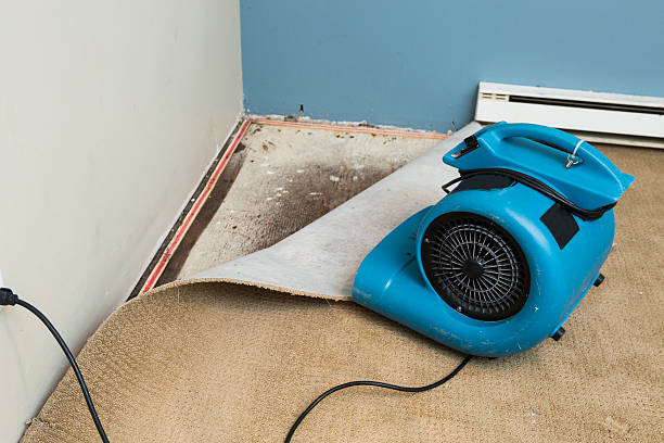 Best Ceiling water damage repair  in Bloomville, OH